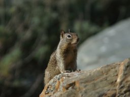 California2007-2008-038